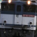 情弱 さんのプロフィール写真