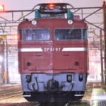 Albatross さんのプロフィール写真
