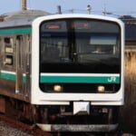 中電 さんのプロフィール写真