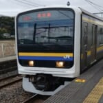 午後の紅茶 鉄オタ さんのプロフィール写真