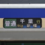 チヌ さんのプロフィール写真