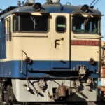 twilight さんのプロフィール写真