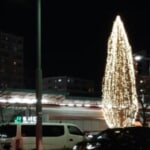 ゆかわ さんのプロフィール写真