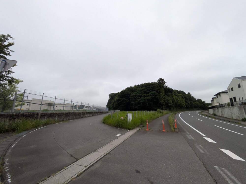 tx%e6%8b%a1%e5%bc%b53