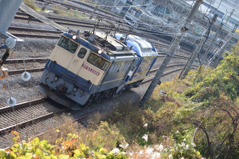 20201128085920_dsc_8402