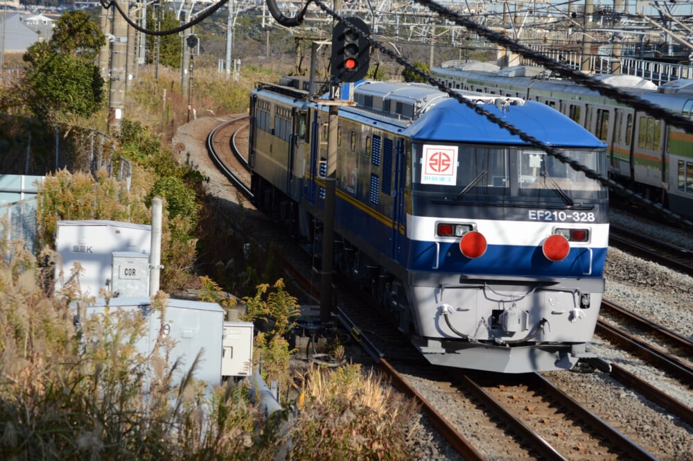 20201128085928_dsc_8410