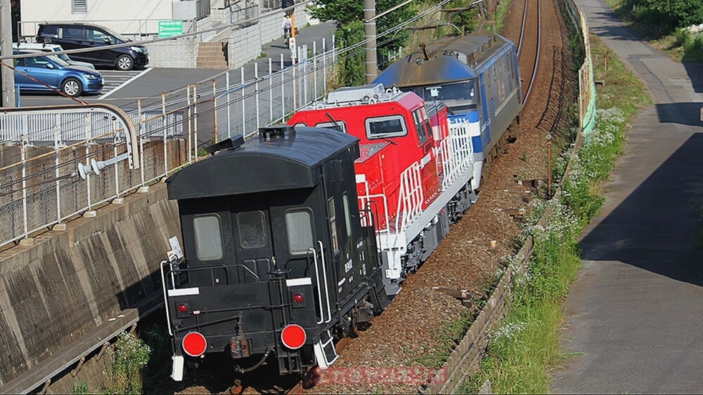 %e3%82%8a%e3%82%93%e3%81%a6%e3%81%a4%e7%bf%92%e5%bf%97%e9%87%8e%e5%b8%822