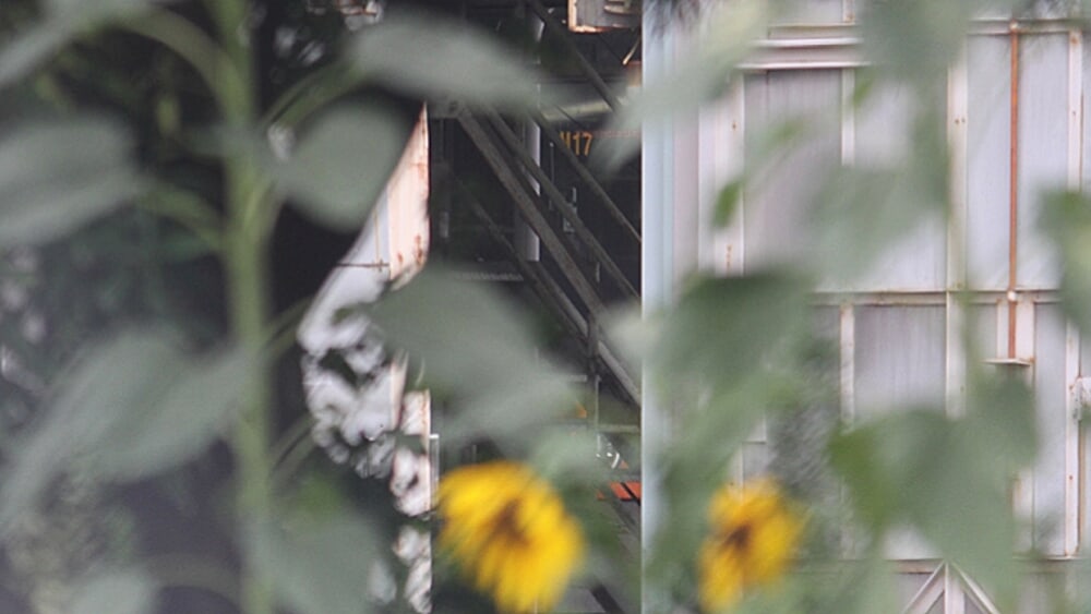 9535d097-730e-403d-8aff-3574308c3cb7