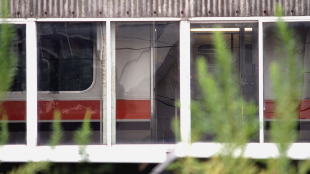 cc315189-9f3b-41c0-8590-c2c21e977607