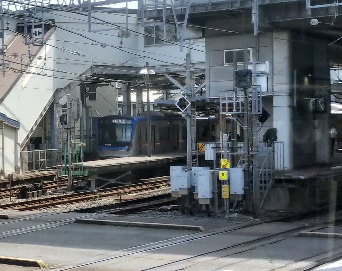 1000006338