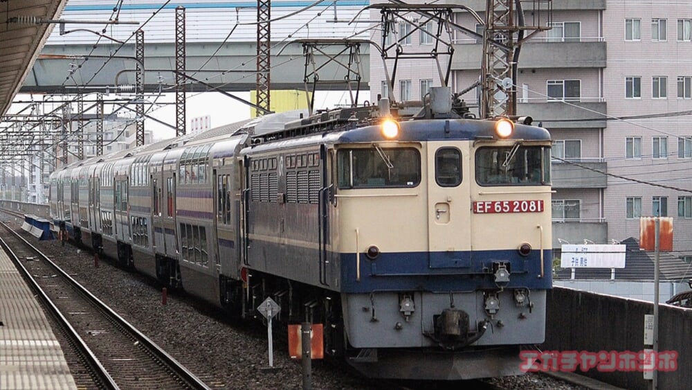 %e3%82%b0%e3%83%aa%e3%83%bc%e3%83%b3%e7%94%b2%e7%a8%ae-%e8%a5%bf%e6%b5%a6%e5%92%8c1